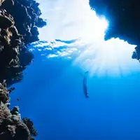 Ejemplo de perfil en Instagram 5